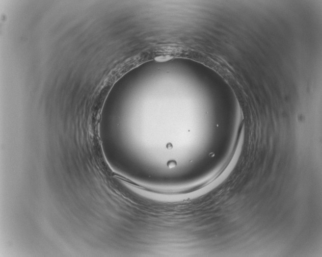 X0000055510516200508262143