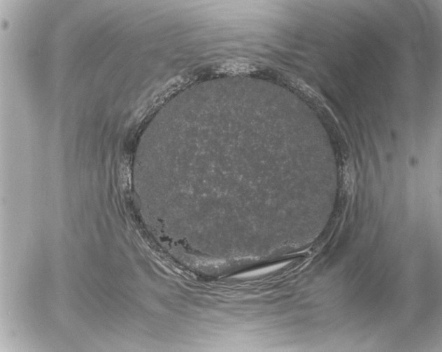 X0000055510517200508262143