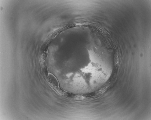 X0000055510519200508262143