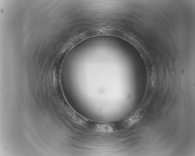 X0000055510520200508262143