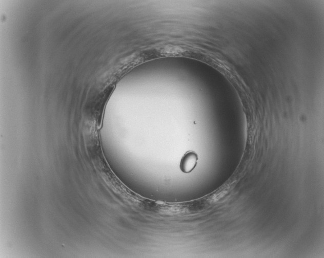 X0000055510521200508262143