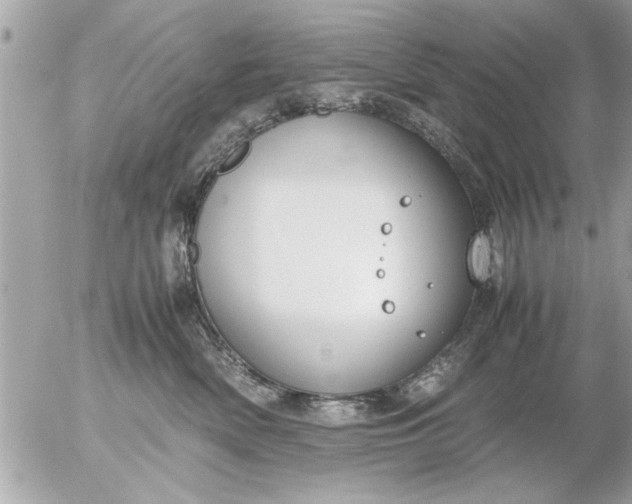 X0000055510522200508262143