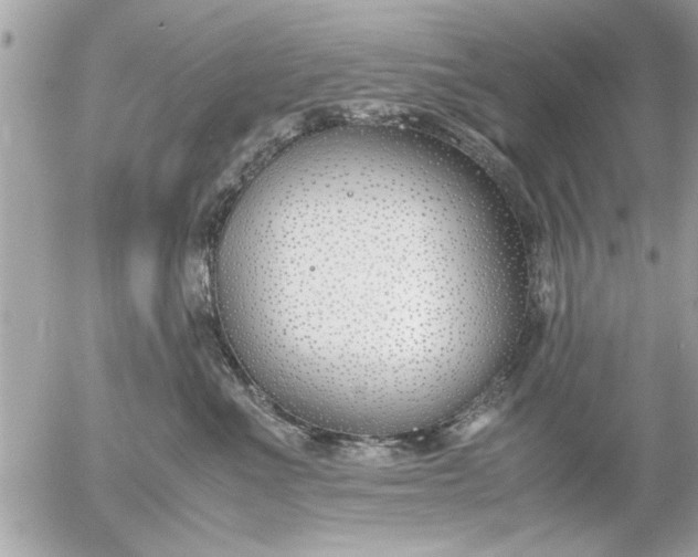 X0000055510523200508262143