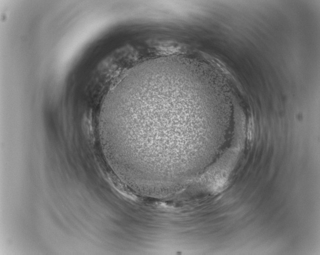 X0000055510524200508262143