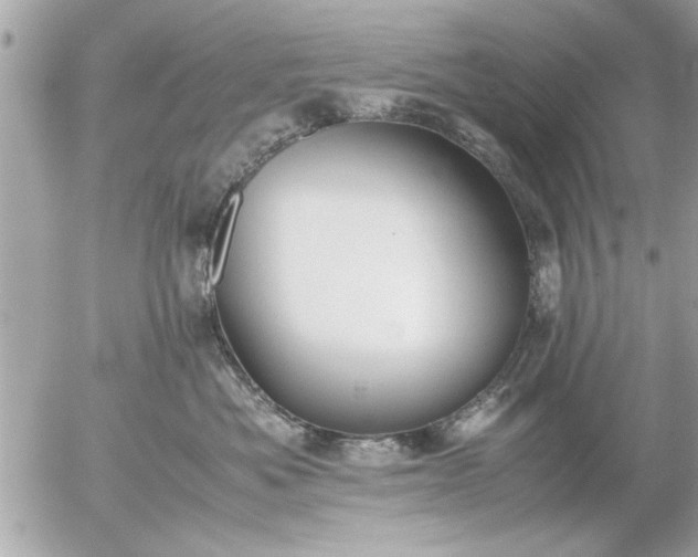 X0000055510525200508262143