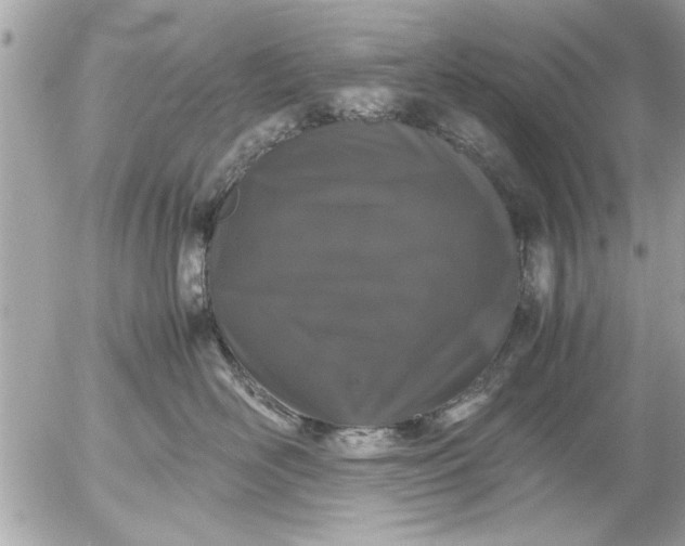 X0000055510526200508262143