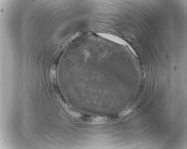 X0000055510527200508262143