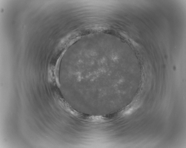 X0000055510528200508262143