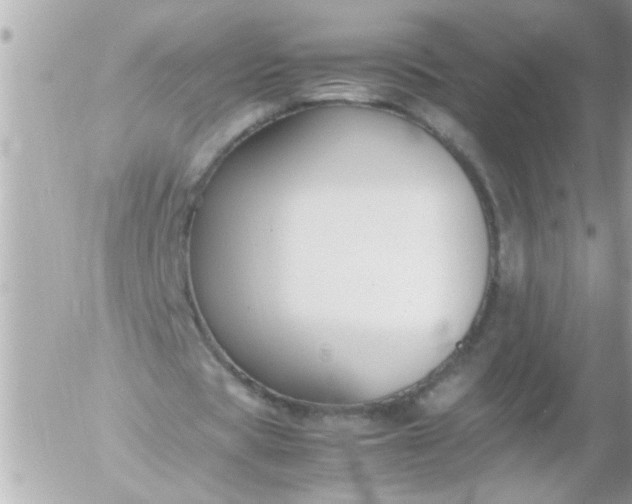 X0000055510529200508262142