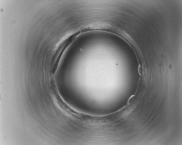 X0000055510530200508262142