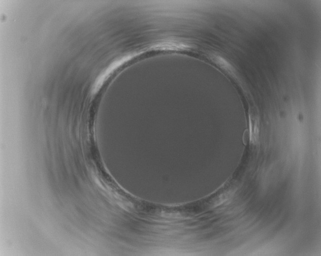 X0000055510531200508262142