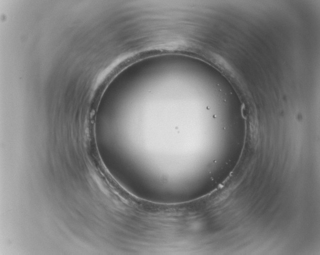 X0000055510532200508262143