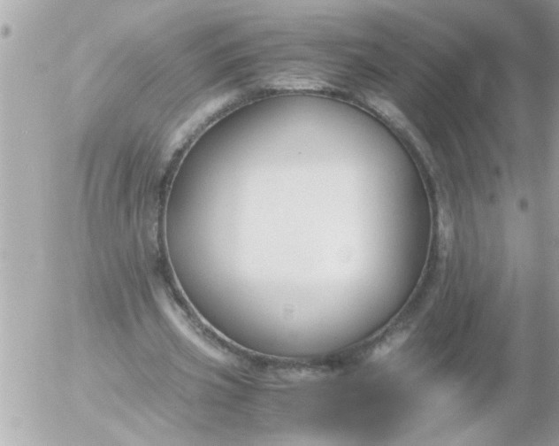 X0000055510533200508262143