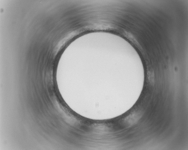 X0000055510534200508262143