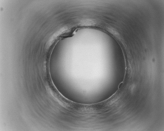 X0000055510535200508262143