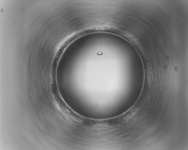 X0000055510536200508262143