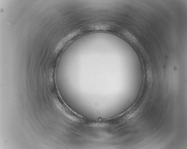 X0000055510537200508262143