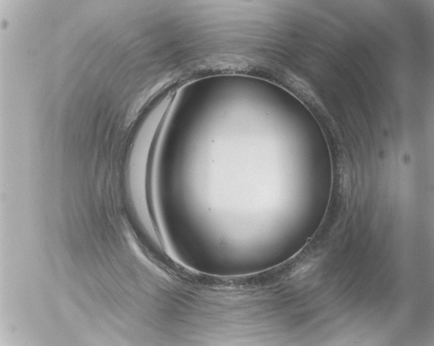 X0000055510538200508262143