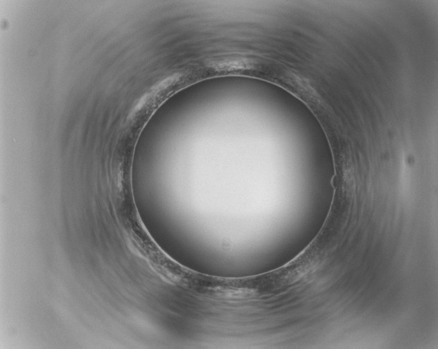 X0000055510539200508262143