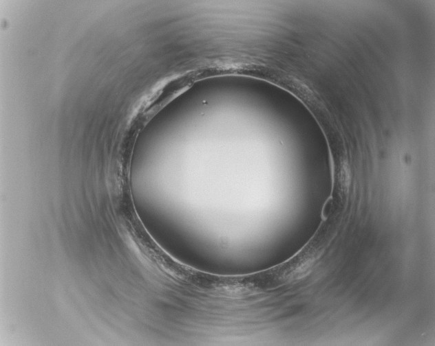 X0000055510540200508262143