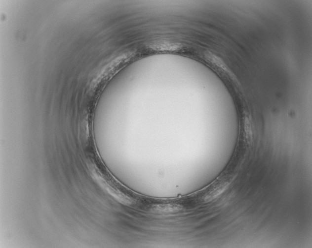 X0000055510541200508262143