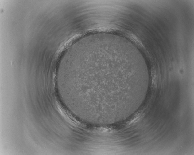 X0000055510542200508262143