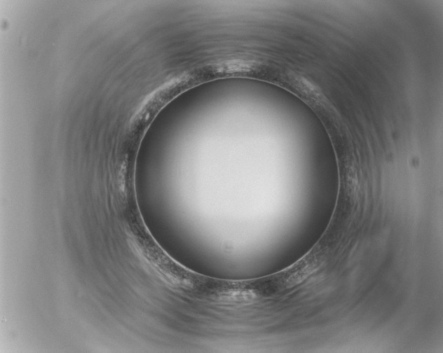 X0000055510543200508262143