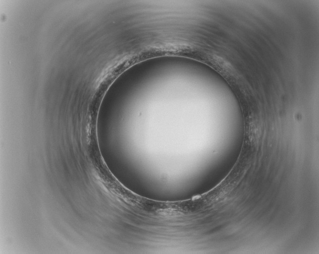 X0000055510544200508262143