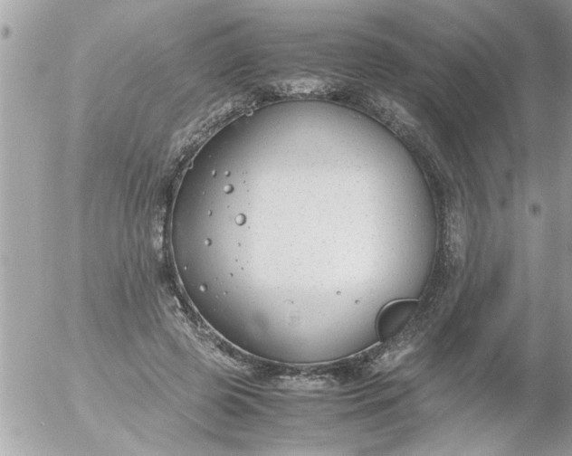 X0000055510545200508262143