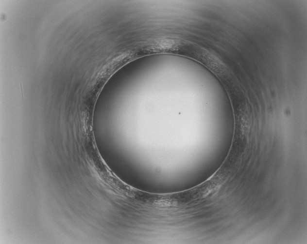 X0000055510546200508262143