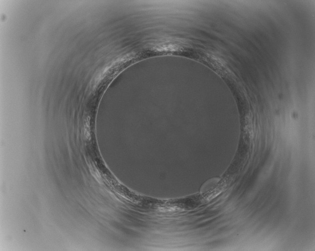 X0000055510547200508262143