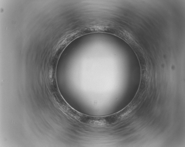 X0000055510548200508262143