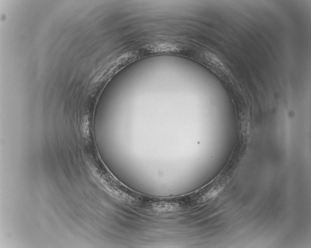 X0000055510549200508262143