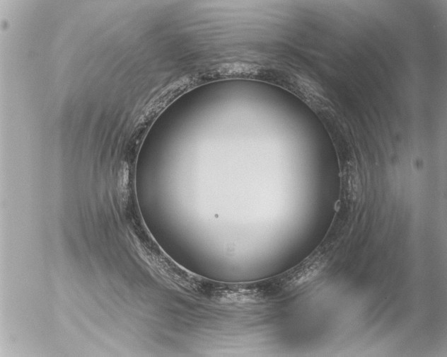 X0000055510550200508262143