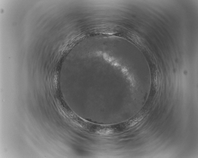 X0000055510551200508262143