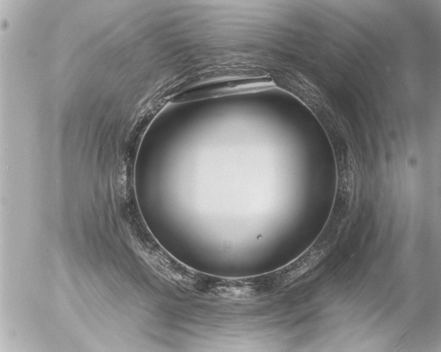 X0000055510552200508262143