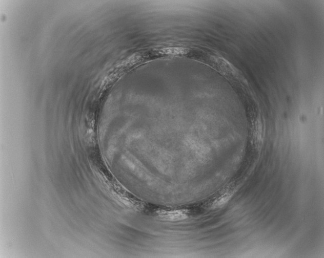 X0000055510553200508262143