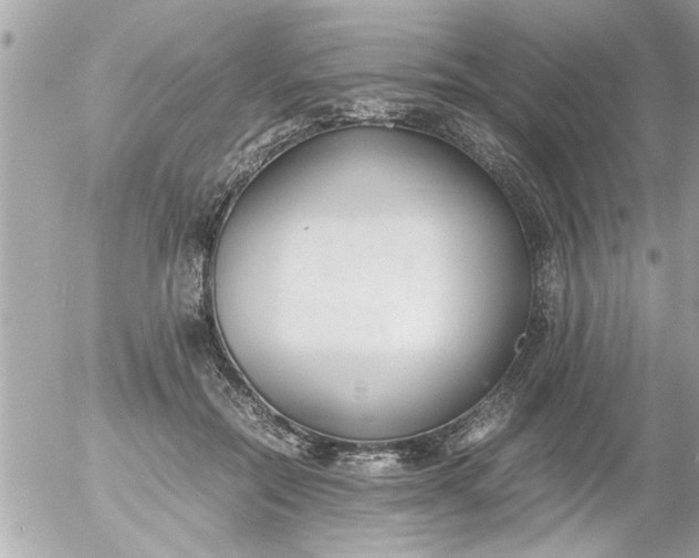 X0000055510554200508262143