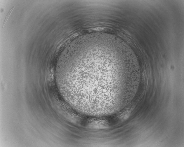 X0000055510555200508262143