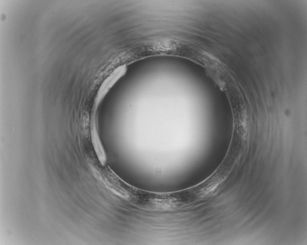 X0000055510556200508262143