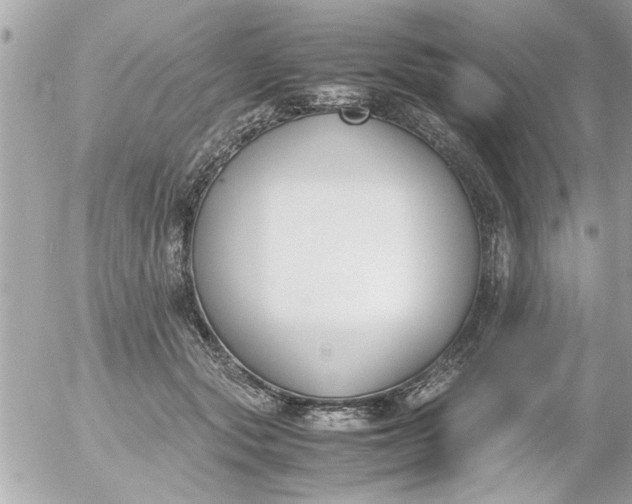 X0000055510557200508262143