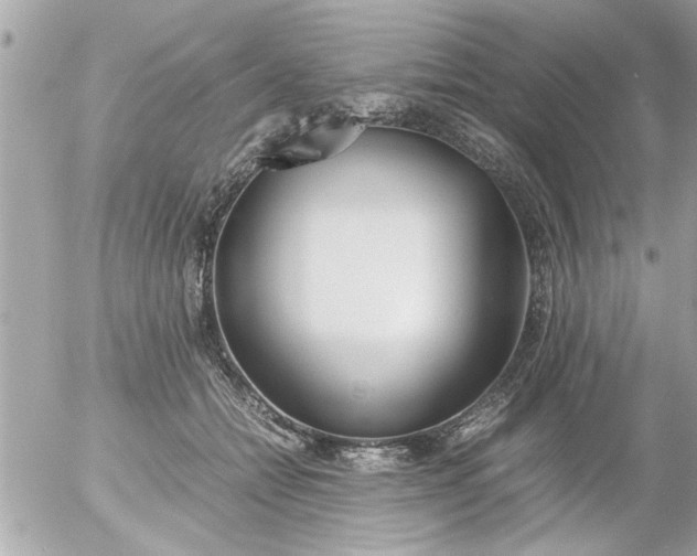 X0000055510558200508262143