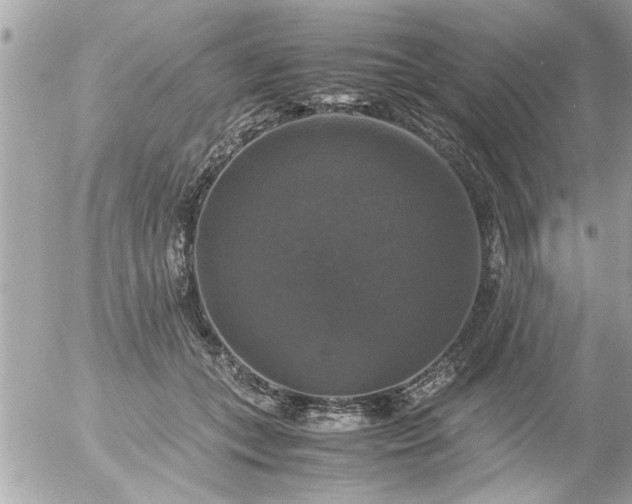 X0000055510559200508262143