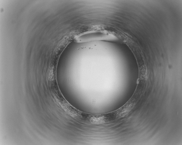 X0000055510560200508262143