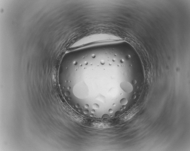 X0000055510561200508262143