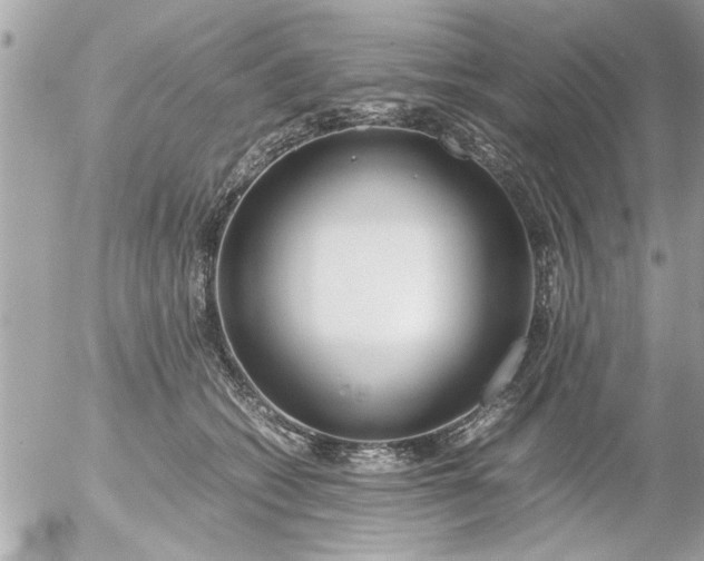 X0000055510562200508262143