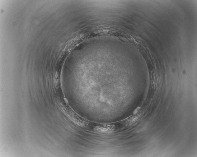 X0000055510563200508262143