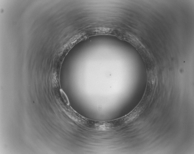 X0000055510564200508262143