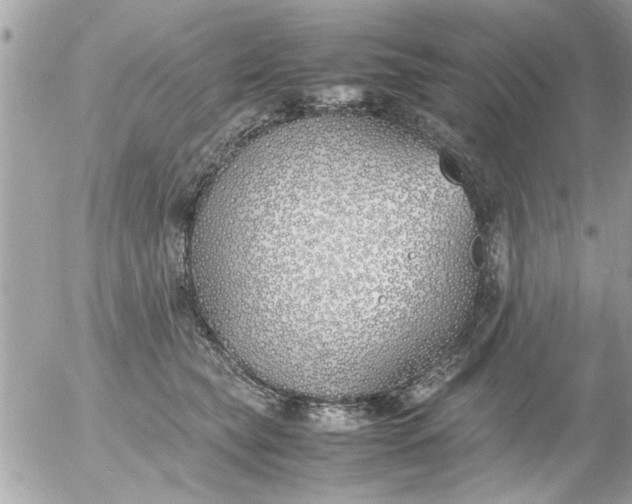 X0000055510565200508262143