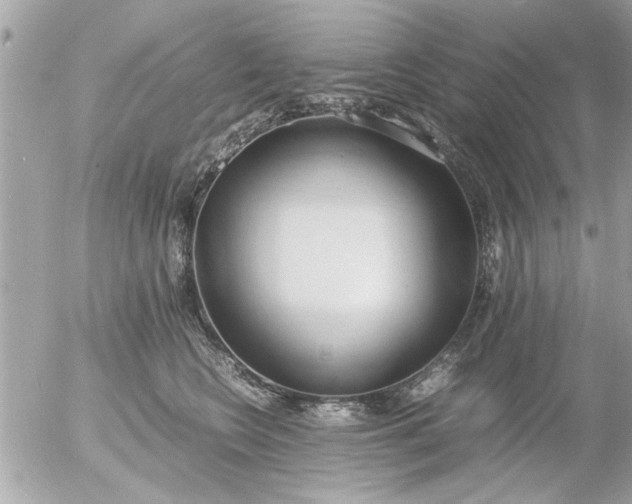 X0000055510566200508262143